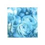 Designer Serviettes 3-PLY Turquoise 33X33CM 1X20 Tbd