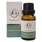ANKER Essential Oil Eucalyptus 15ML
