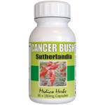 Cancer Bush Sutherlandia Frutescens 30 X 350 Mg Capsules