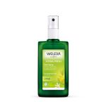 Weleda Citrus Fresh Deo Spray 100ML