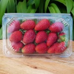 Heirloom Foods – Organic Strawberries
