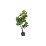 Fiddle Leaf Fig Tree - 122CM