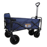 Beach Wagon With Tailgate
