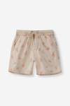 BOYS Pool Shorts - 10 Stone