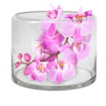 Bulb Vase Large 14CM H X 18CM W