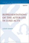 Representations Of The Afterlife In Luke-acts Hardcover