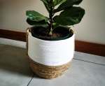 2-TONE Basket White Natural 30 Cm
