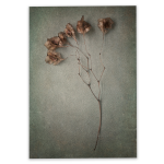 Foraged 2 Art Print - A3 No Frame Print Only