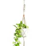 Copper Twisted Square Macrame Plant Hanger - Natural Cotton
