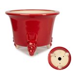 Chinese Glazed Dragon Motif 185MM X 130MM - Red