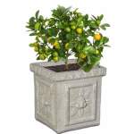 Monica Plant Pot - Large 590MM X 610MM Flinted White