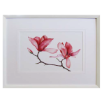 Watercolour Magnolia 1 Framed Print 800 X 600