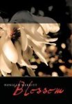 Blossom Hardcover