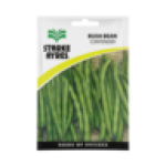 Contender Bush Bean Seeds