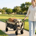 Heavy Duty Folding Fishing Beach Wagon