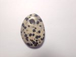 Dalmation Jasper Pendant F137