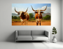 Canvas Wall Art - Nguni Bull B1441