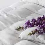 100% Hungarian Down Autumn Duvet