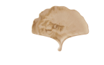 Gingko Tray