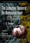 Conduction System Of The Mammalian Heart The: An Anatomico-histological Study Of The Atrioventricular Bundle And The Purkinje Fi