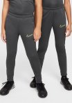 Nike Kids Dri-fit ACADEMY23 Pants