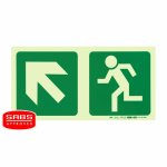 Parrot Photoluminescent 190MM E12 Safety Sign