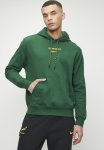 Nike Springboks Overhead Hoody 24 25 - Gorge Green university Gold