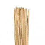 Skewers – 20CM Thick 100