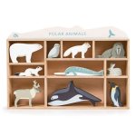 Polar Animals And Shelf By
