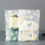 10PCS Set: Stylish Frosted Zipper Storage Bags For Women - Reusable Transparent Clothing & Underwear Organizer Pouches Portable