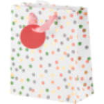 Medium Craft Paper Luxury Gift Bag