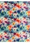 Printed Dty