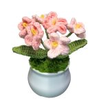 Joekaran Crochet Flowers Cute Flower For Her Graduation Birthday Gifts For Women And Teacher Mother Coworkers Valentines Christm