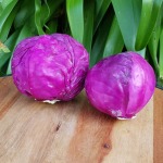 Heirloom Foods – Organic Red Cabbage Baby
