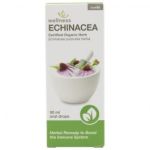 Echinacea Tincture 50ML
