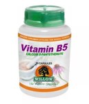 Willow - Vitamin B5 50 Capsules