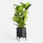 Shadow Floor Planter With Stand - Black