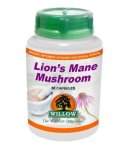 Willow - Lion's Mane 500MG 60 Caps