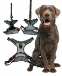Padded Harness & Lead