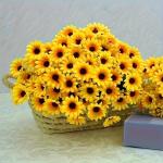 Vibrant 24-FLOWER Artificial Sunflower Bouquet - Perfect For Spring & Summer Decor Indoor outdoor Use Home Weddings & Events