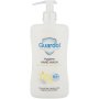 Guardol Citrus Hand Wash 250ml