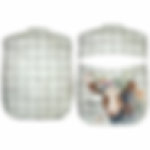 Fsc 0012 Peg Assorted