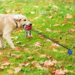 Dogs Outdoor Tug-of-war Toy