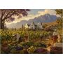 Cape Vineyard Harvest 1000 Pieces Of Jigsaw Puzzle For Adults