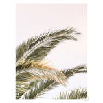 Oasis Palm 3 Art Print - A4