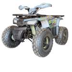 125CC Hunter II Offroad Quad Bike Tao Motor + Remotes Red For 12 Years + Eta 20 August '26 - Gray