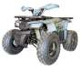125CC Hunter II Offroad Quad Bike Tao Motor + Remotes Red For 12 Years + Eta 20 August '26 - Gray
