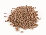 Gmo Free Brown Lentils 1KG