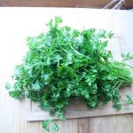 Parsley Curly Leaf 25G P