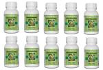 African Potato Hypoxis Hemerocallidea Rooper Bulk Buy 10 Bottles